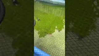 A koi called skeletor 🤭 and the rest in the new temp pond