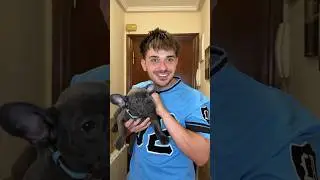 Cuando Traes Un Perro a Casa🐶 #comedia