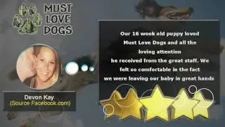 Must Love Dogs - REVIEWS - Dog Day Care - Maitland - Pet Care