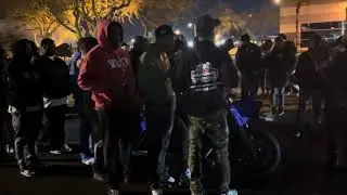 Police Shot Down Races