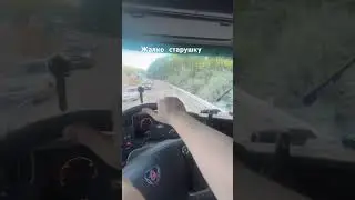 #scania #недальнобой #automobile #дальнобой #daf #truckdriver #дорога #дальнобойщики #scania