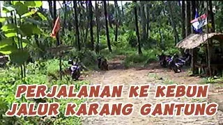 Sepintas perjalanan ke kebun jalur karang gantung geopark ciletuh