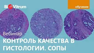 Контроль качества в ПАО. СОПы