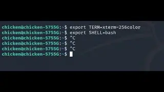 How to convert dumb shell to fully functional shell