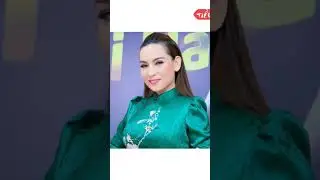 Tóm Tắt Tiểu Sử Ca Sĩ Phi Nhung