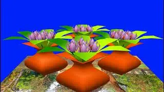 Green Screen Shadi background video HD || Green Screen Beautiful background Animated video