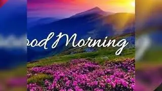 Good morning