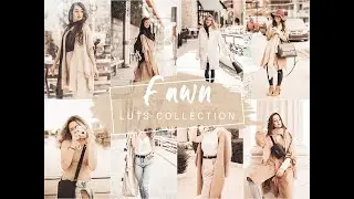 Fawn Video LUTs | Instagram LUTs | Video LUTs | Video LUTs for Premiere Pro