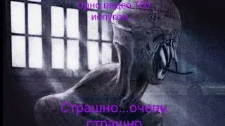 The dark pursuer #1. Немного пугаемся 🤣
