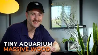 THIS IS THE SMALLEST AQUARIUM I'VE EVER SET UP! | UNS 16S Hardscape Tutorial