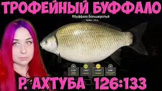 Трофейный Буффало большеротый на р. Ахтуба