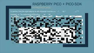 Raspberry PI PICO + Pico-SDK