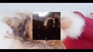 Chacha tú eres muerta - All I Want for Christmas Is You