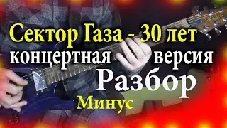 Сектор Газа   30 лет Разбор концертная версия урок для электрогитары Минус под видео