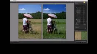 Editarea fotografiilor JPG cu Viveza 2