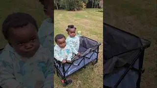 Twins and a Wagon