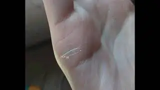 Влюблённости в июле. Хиромантия