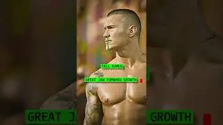 How Attractive is Randy Orton?