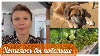 Завтра уезжаю  🙈🙈🚗 Показываю , что имею 🥰🌹🍎