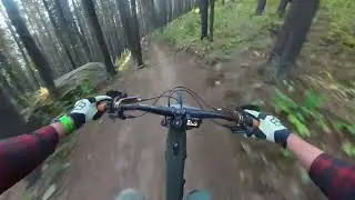 Bees Knees Enduro 2024 - The most fun enduro race to date!