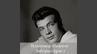 Заборы (фрагмент)