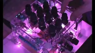 Demo of NE555Synth DoItYourself