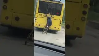 Страна тигров 😂😂