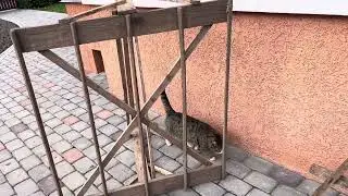 Мои примитивные маркёры, которые облегчают работу.