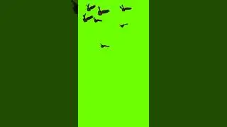 Green screen effect video# Black screen effect Video # kinemaster effect video#Shorts
