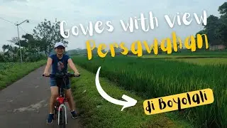 MENIKMATI HAMPARAN HIJAU PERSAWAHAN SAMBIL BERSEPEDA DI BOYOLALI #wisatasawah