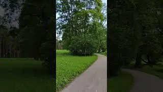 Китайская скрипучая беседка | Пушкин