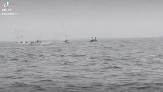 Sailing school