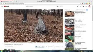 КАНАЛ  Эркин. Чегеваров.