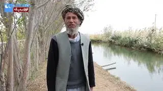 بلیغ فارمیدن گزارش