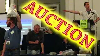 N.E.C.  2024 AUCTION  (HOW MUCH $ DID I MAKE?)