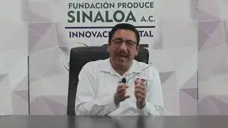 #CIMA2021 - Reducción de costos de producción en maíz