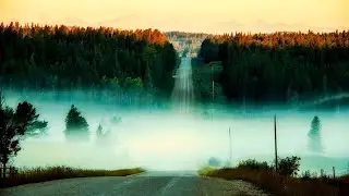 Я никогда не понимал - Александр Блок