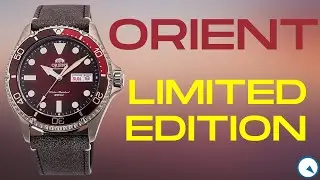 Orient Limited Edition Vintage Diver (only 2000 made)