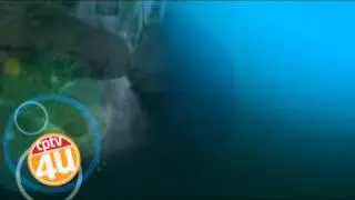 CPTV4U Graphics Package