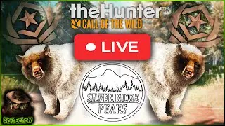Approx 900 Kills Into The Black Bear Great One Grind! 5 Legendary So Far! Call of the wild LIVE