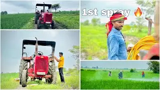First spray in rice crop || धान का पहला स्प्रे 🔥 || Mr crazy
