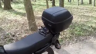 Лісні покатухи