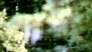 Праздник КУПАЛО (1999 год).
