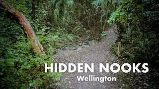 Hidden Nooks of Wellington | Khandallah | Bush Walk | Cinematic Vlog | iPhone 15 pro