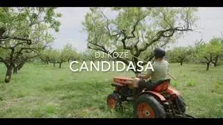 OUT NOW: DJ KOZE - Candidasa (PAMPA040) #shorts
