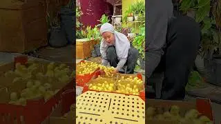 Ibu Linda, sukses menjadi peternak dan content creator SnackVideo Indonesia