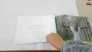 הדפסת העתק שמש לפני הדפסה