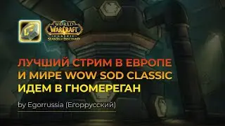 ИДЕМ В РЕЙД ГНОМЕРЕГАН. Тактика, гайд. Вторая фаза WoW SOD!