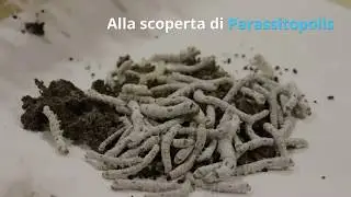 Alla scoperta di Parassitopolis