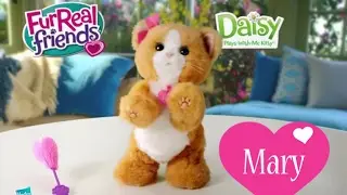 Мисс Мэри и Игривый котенок Дэйзи Furreal Friends. ОБЗОР любимой игрушки